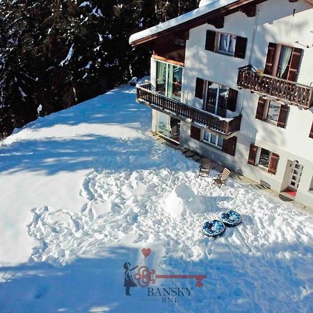 Alpine Chalet Retreat: San Bernardino Ski & Hike Haven Exterior photo