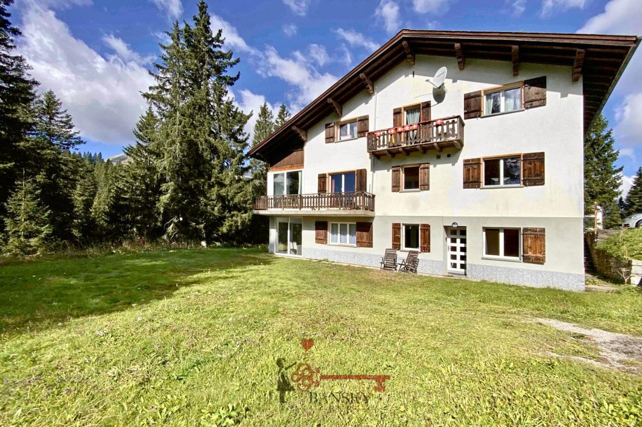 Alpine Chalet Retreat: San Bernardino Ski & Hike Haven Exterior photo